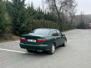 Nissan Primera foto 4