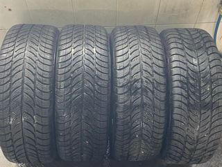 205/55 R16 Debica 2024 foto 3