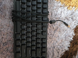 Hator Rockfall TKL Mechanical keyboard foto 3