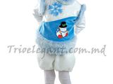 Новогодние карнавальные костюмы- прокат! costume de carnaval pentru anul nou in chirie! foto 7