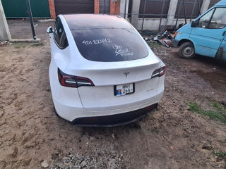 Tesla Model Y foto 4