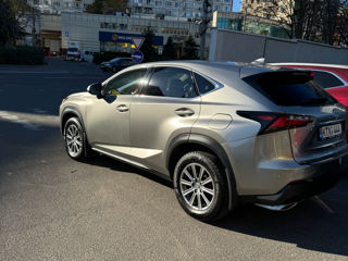 Lexus NX Series