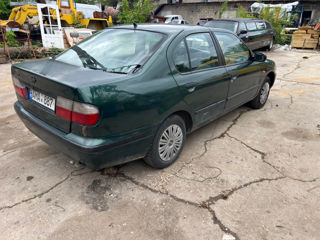 Nissan Primera