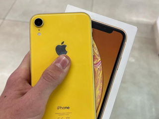 iPhone xr