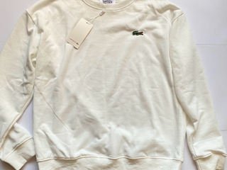 Lacoste sweatshirt men