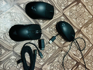 Игровые мышки Razer Kibra Logitech g102 Ardor foto 8