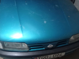 Nissan Primera foto 10