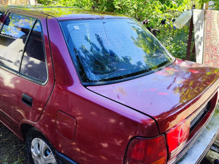 Suzuki Swift фото 2