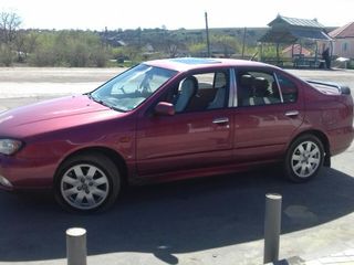 Nissan Primera foto 4