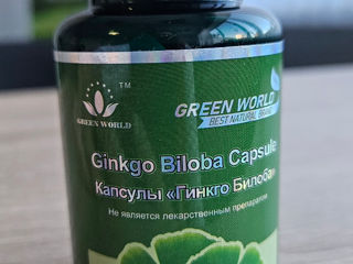 Ginkgo biloba 100% natural