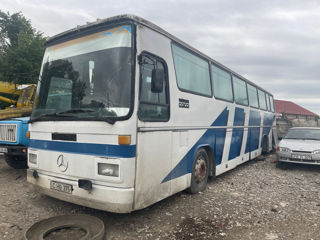Mercedes 0303 фото 0