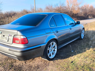 BMW 5 Series foto 5