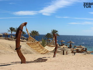 Egipt, Sharm El Sheikh - Monte Carlo Sharm Resort & Spa 5* foto 5