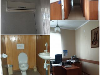 Продажа или сдам в аренду 1.2га в г. Рышканы. foto 9