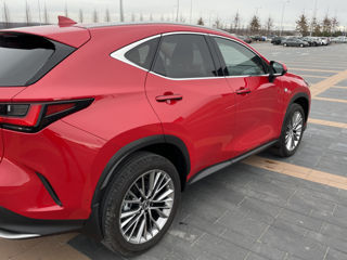 Lexus NX Series foto 3