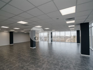 Oficiu cu euro reparație, open space, Bd. Dacia, 241 mp ! foto 4