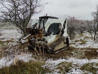 Oferim servicii de defrișare terenurilor agricole. Bobcat foto 4