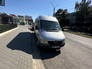 Mercedes Sprinter 313