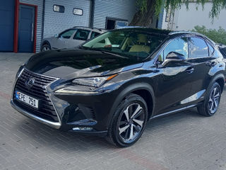 Lexus NX Series