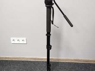 Manfrotto 561BHDV Monopod