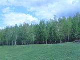 Teren pentru construcție дёшево  участок у озера и леса 18 км от Кишинева foto 2
