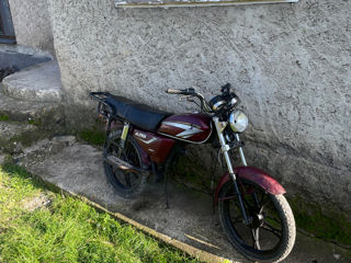 Alpha Moto 110 foto 2