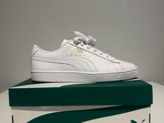 Puma basket