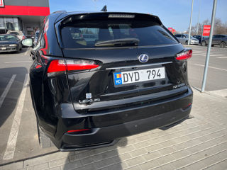 Lexus NX Series foto 6