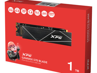 xpg 1 T