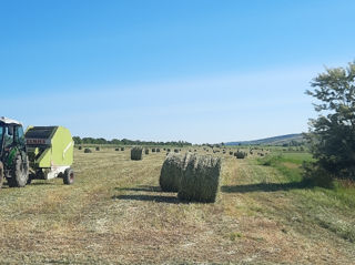 Claas rolant 62 foto 1