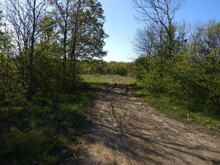 Отличный участок для благоустройства базы отдыха или престижных вилл. foto 10