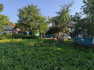 Casa sat.Ochiul Alb, r-nul Drochia foto 7