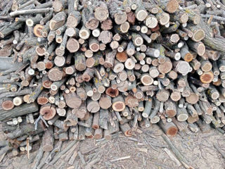 Vind lemne de salcim  ,livrare gratuita