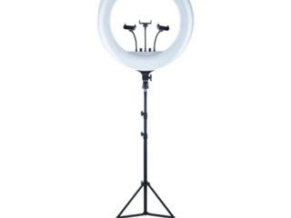 Профессиональная кольцевая лампа RL-18+штатив 210cм+гибкий держатель/Lampa profesionala+stativ210cm foto 4