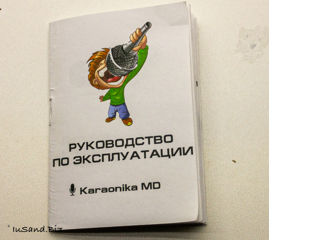 Microfon Karaoke Pentru Copii - "Karaonika MD-2" foto 10