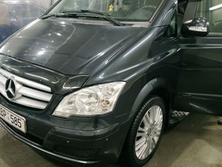 Mercedes Viano foto 4