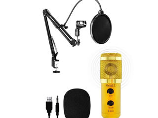 Microfon studio / Конденсаторный микрофон M-800U foto 2