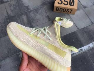 Adidas Yeezy Boost 350 V2 Antlia foto 6