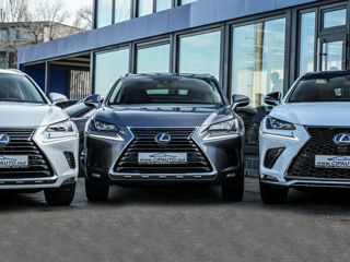 Lexus NX Series foto 4