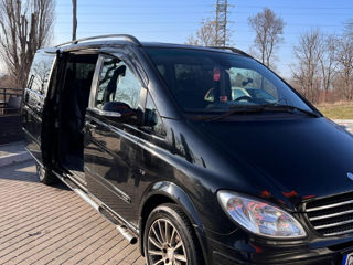 Mercedes Viano foto 3