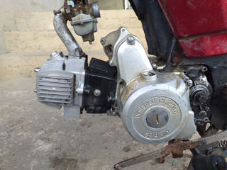 Alpha Moto 49