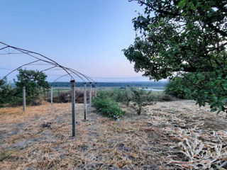 Casa Gura Bicului - 55 km de la Chisinau/ 25 km de la Anenii Noi foto 10