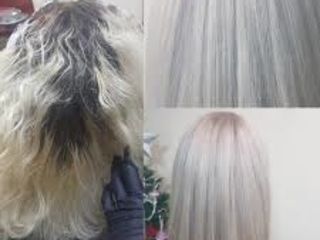 Avem Nevoie De Modele Pentru Coloristica Coafura