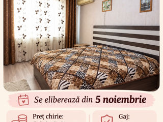 Room, 55 м², 8/9 fl.