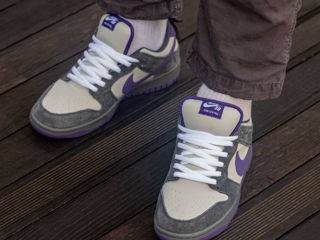 Nike Sb Dunk Low Purple Pigeon Unisex foto 8