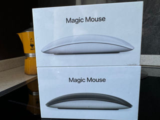 Apple Magic Mouse Black 2023 Best Price !