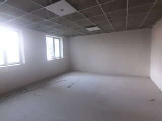 Apartament cu 5 camere sau mai multe, 190 m², Paminteni, Bălți