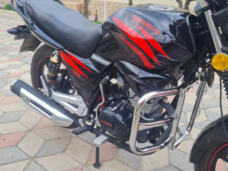 Viper 250 foto 7