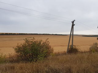 Vind teren 200 ari la traseul international spre Orhei, 5 km de la Chisinau / участок 2 га foto 8