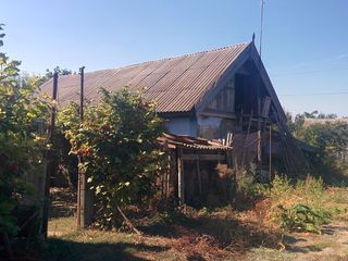 Продается дача. 1 этажный дом , 27 соток земли. foto 3